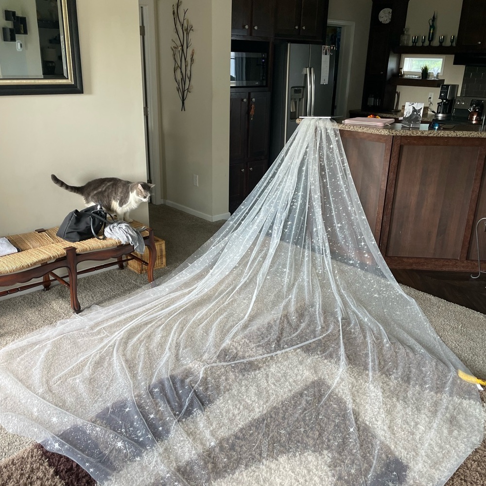 Royal length, sparkly wedding veil.